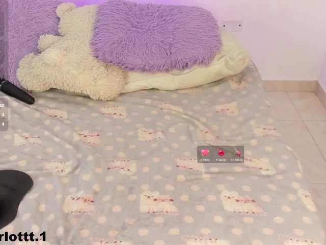 charlotte-250