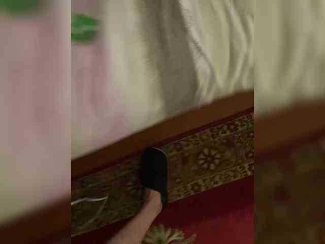 Dragon-sex-1 Sex Cam Show