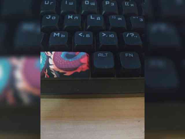 Volgaboy