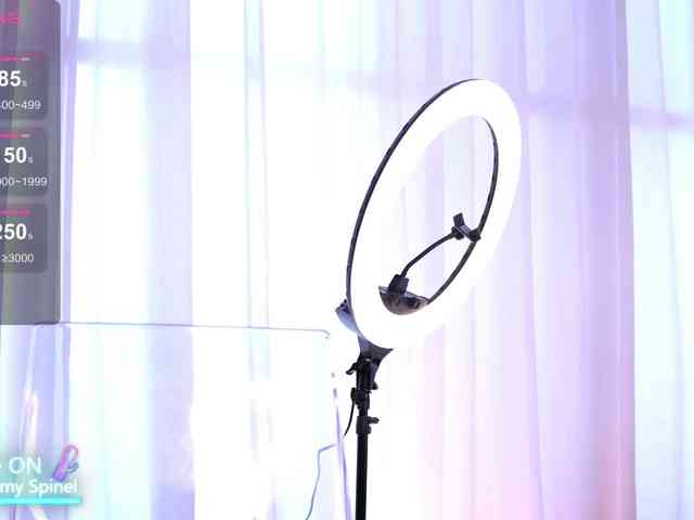 AnnaRhodes webcam