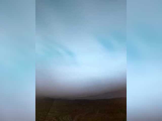 praesertim live cam on BongaCams