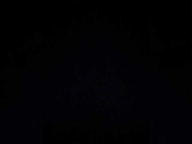praesertim live cam