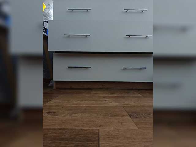 praesertim
