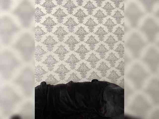 A-----------YA webcam