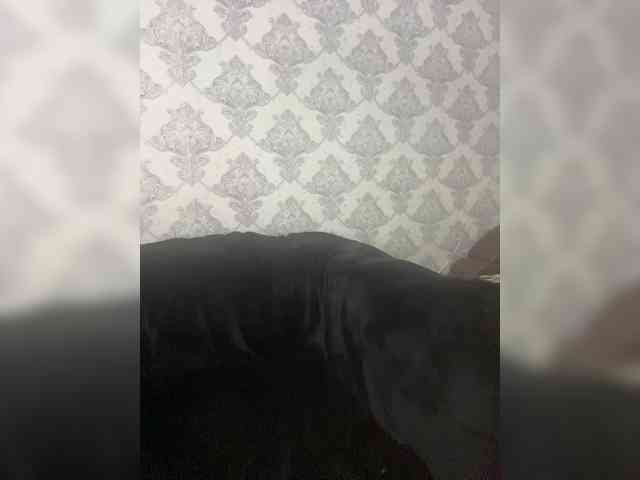 A-----------YA webcam