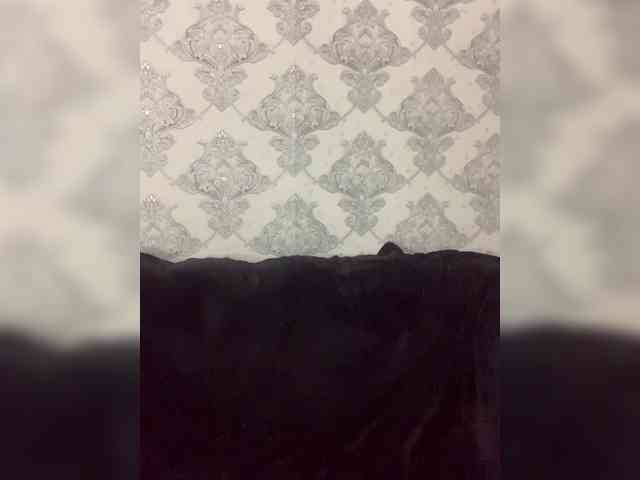 A-----------YA webcam