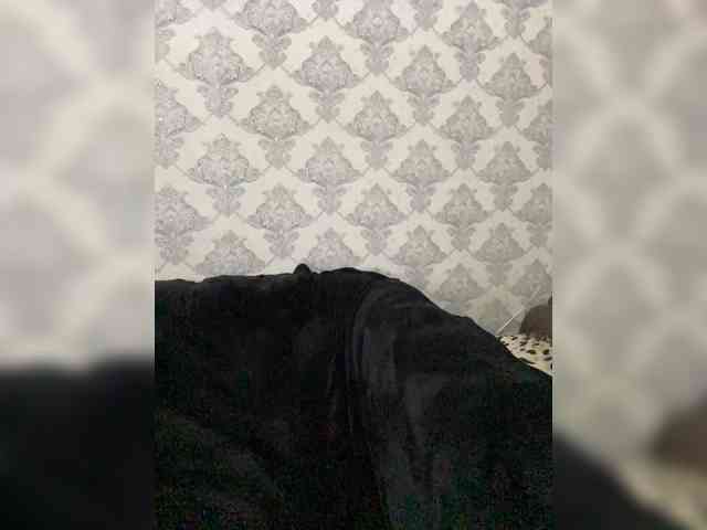 A-----------YA webcam