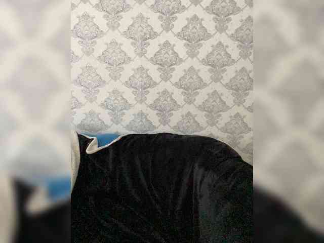 A-----------YA webcam