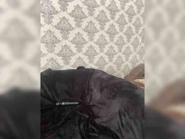 A-----------YA webcam