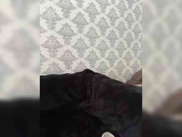 A-----------YA webcam