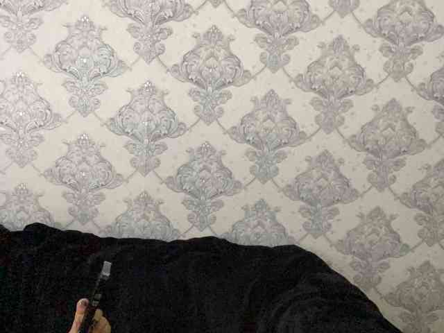 A-----------YA webcam