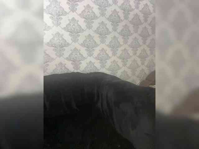 A-----------YA webcam