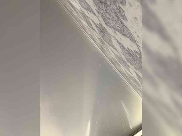 A-----------YA webcam