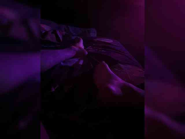 KrystaAhlMagic webcam