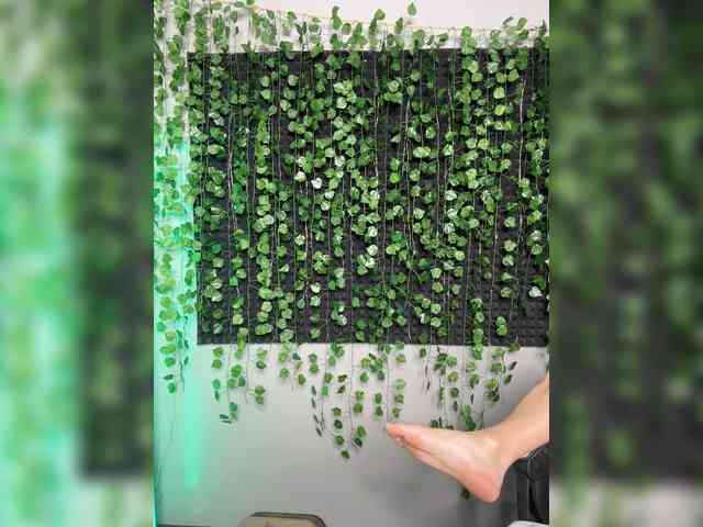 Korol-Eva Sex Cam Show
