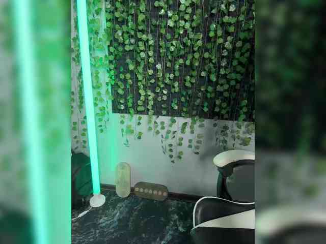 Eva_Kit webcam
