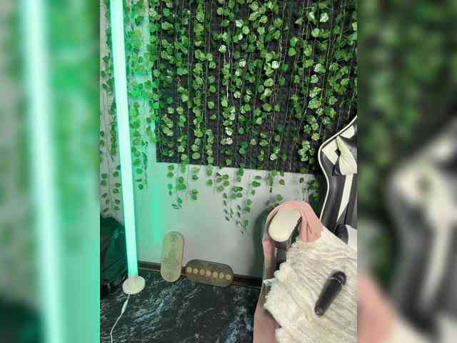 Eva_Kit webcam
