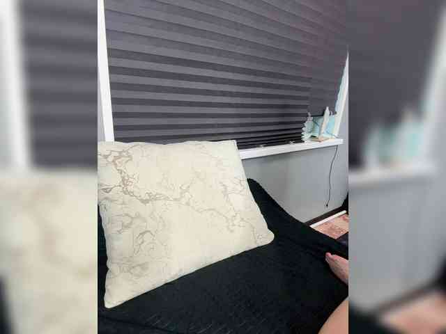Eva_Kit webcam