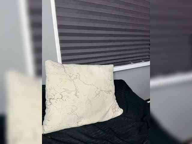 Eva_Kit webcam