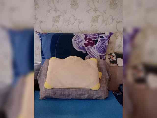 OksiCat webcam