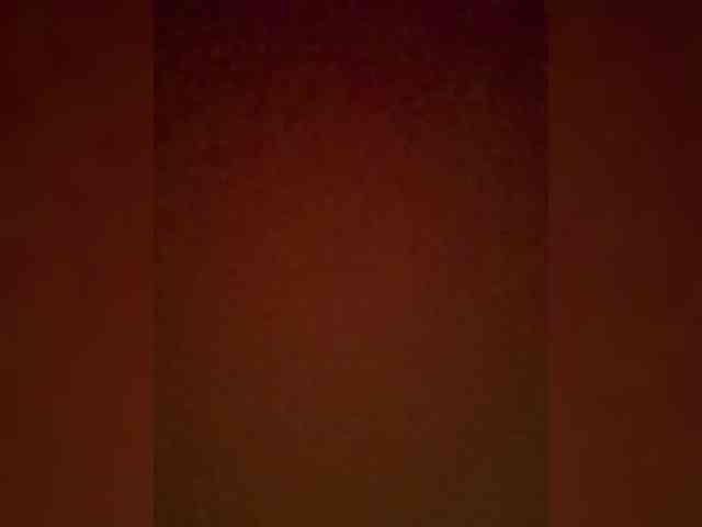 Pussechka webcam