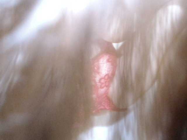 Sex18x