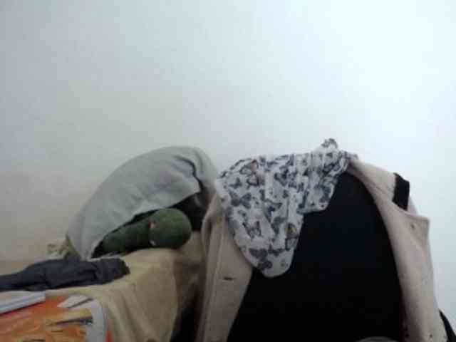 tetedange webcam