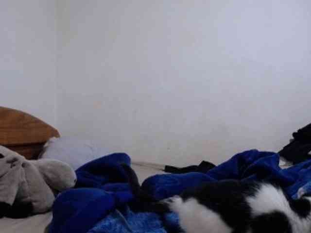 tetedange's webcam live show