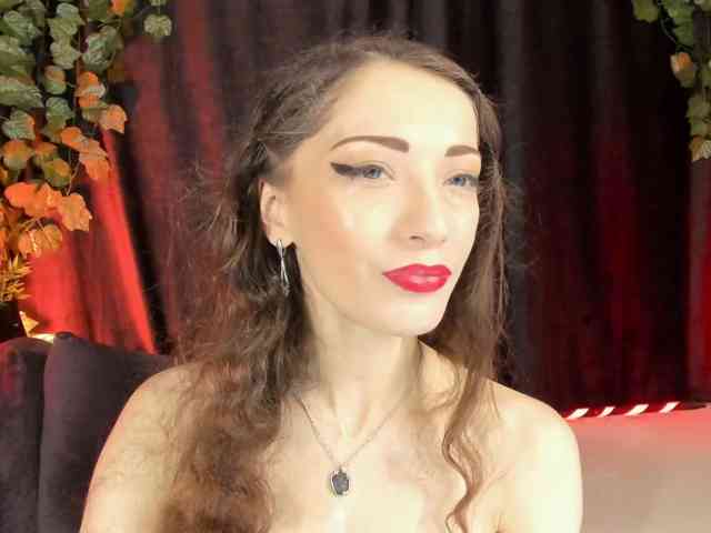 Silerta webcam