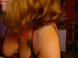 petitoiseaucoquine