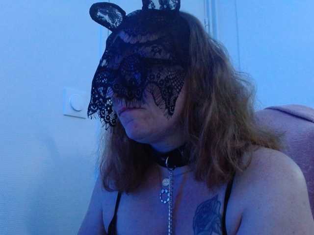 Petitoiseaucoquine