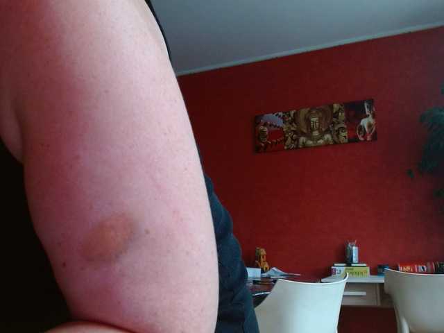 Petitoiseaucoquine