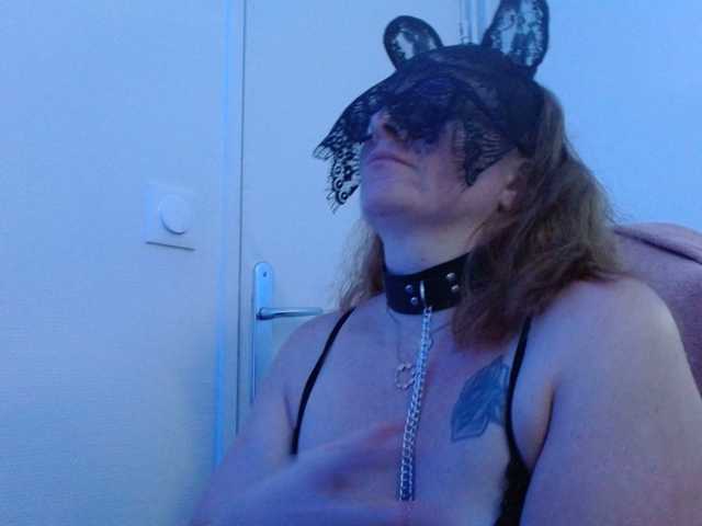 Petitoiseaucoquine