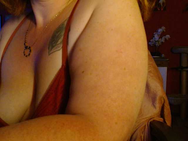 Petitoiseaucoquine