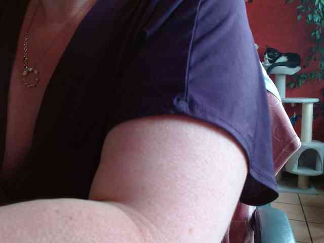 Petitoiseaucoquine webcam
