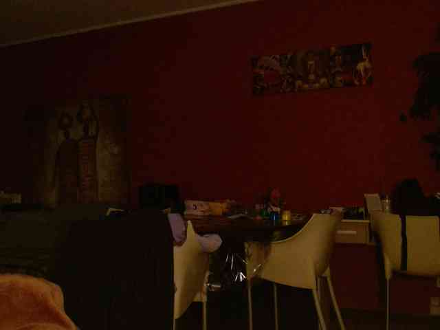 Petitoiseaucoquine webcam