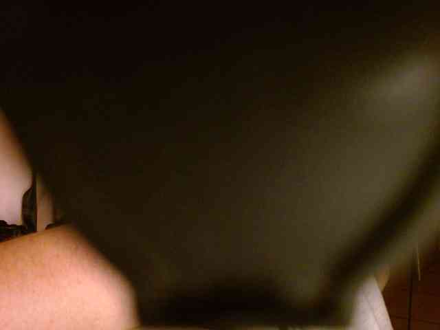 Petitoiseaucoquine webcam