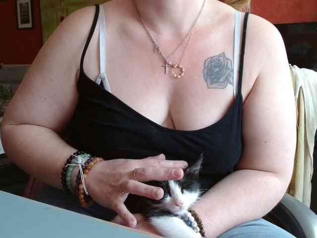 Petitoiseaucoquine webcam