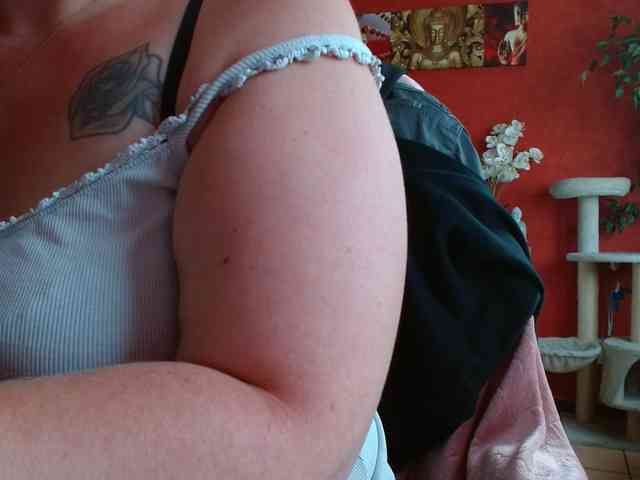 Petitoiseaucoquine