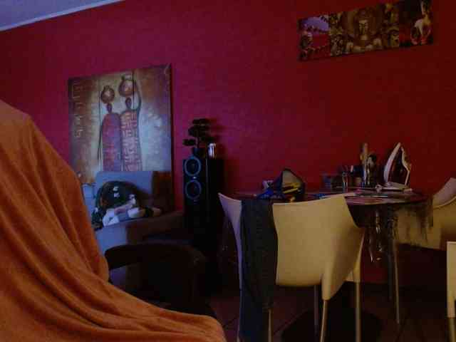Petitoiseaucoquine webcam