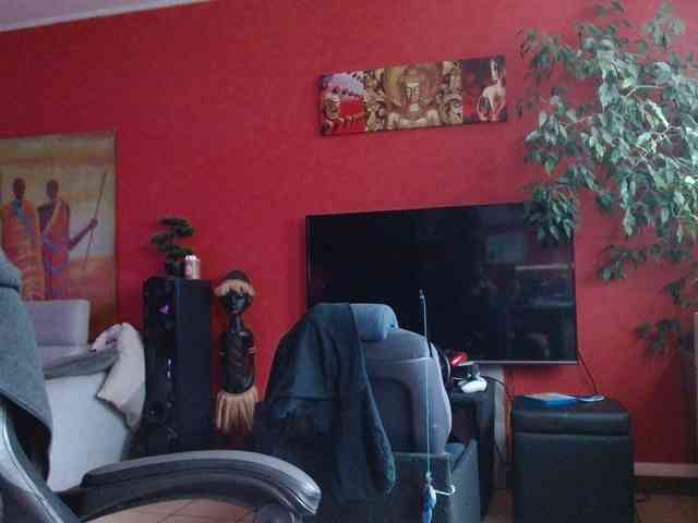 Petitoiseaucoquine webcam