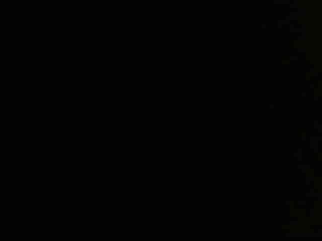 Petitoiseaucoquine webcam