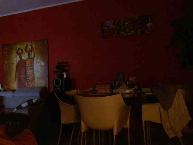 Petitoiseaucoquine webcam