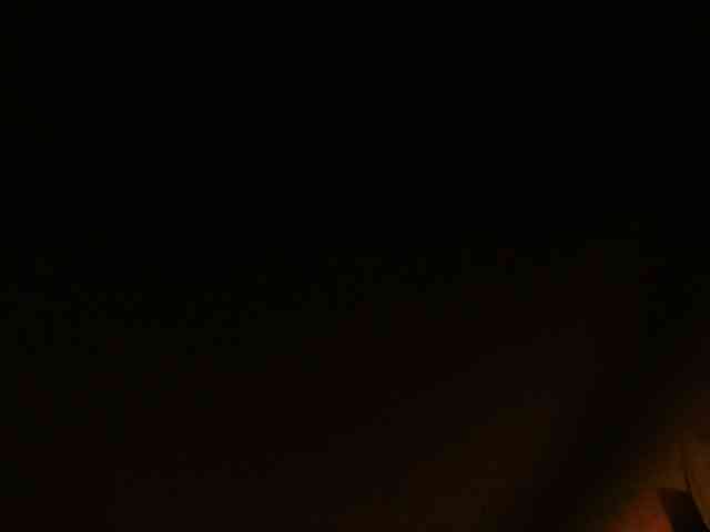 Petitoiseaucoquine webcam
