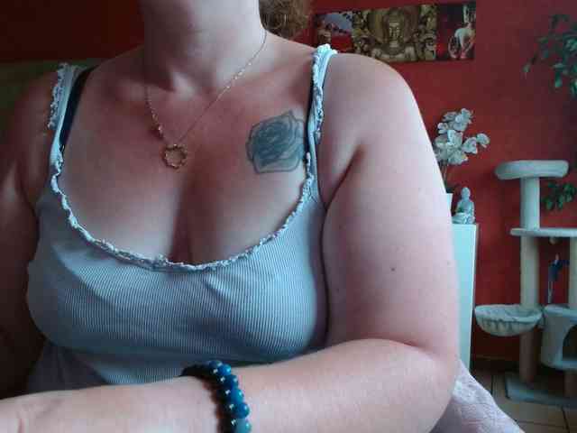 Petitoiseaucoquine