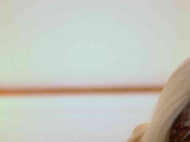 AdelineKing webcam