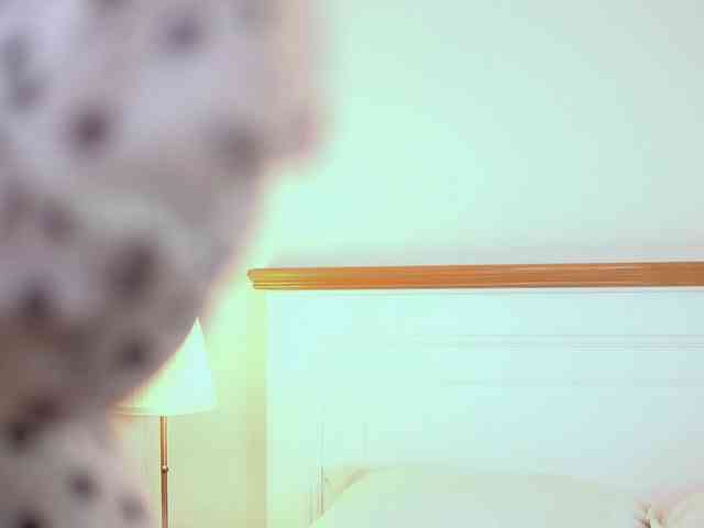 AdelineKing webcam