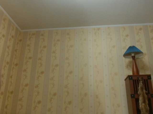 Valenttijm3851