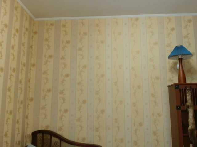 Valenttijm3851