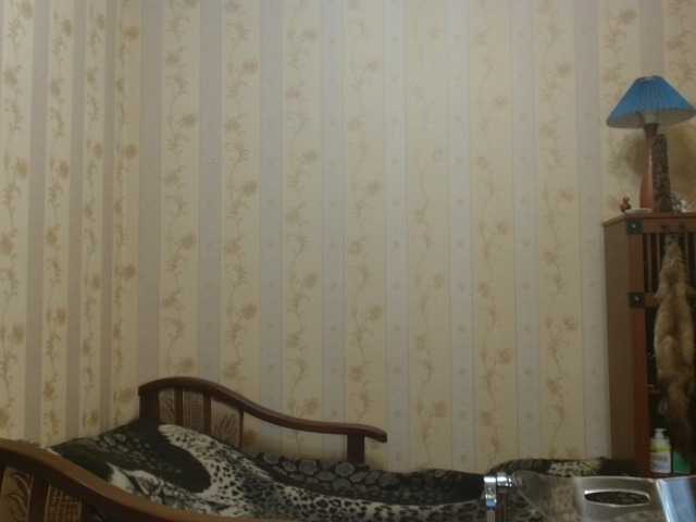 Preview of valenttijm3851